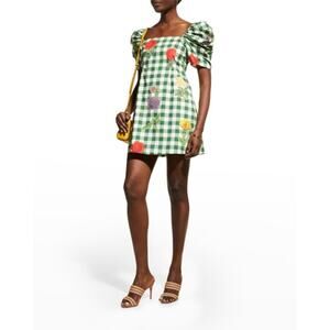 Cara Cara Kelly Green Gingham Fruit Print Puff Sleeve Square Neck Mini Dress XS